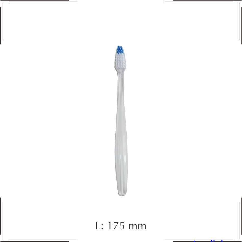 Transparent plastic toothbrush 12