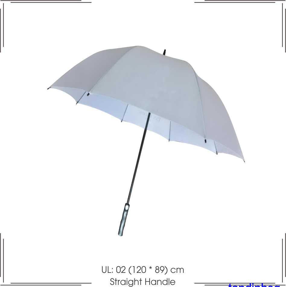 Straight Handle Umbrella 2