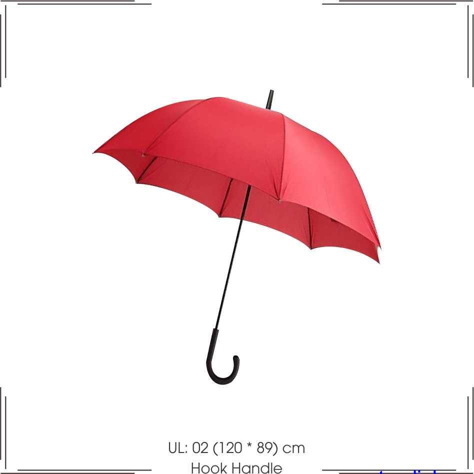 Hook Handle Umbrella 1